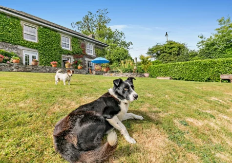 The large lawned garden at North Coombe Farm, Rilla Mill