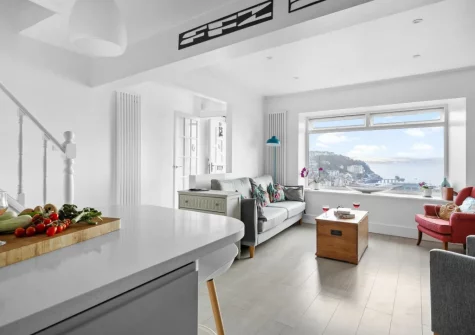 The kitchen & living area at Number Eighty One, Brixham