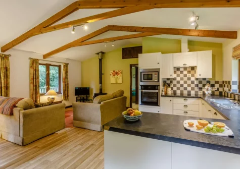The living area & kitchen at Oak at Waldon Valley Lodges, Bradworthy