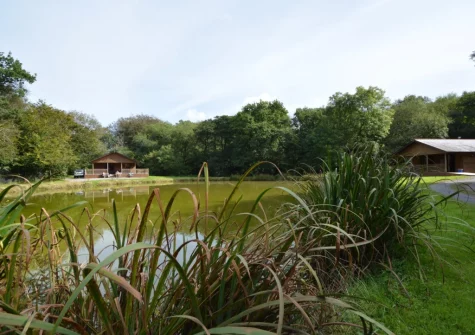 Oak is set on the banks of a large fishing pond, well-stocked with Carp and Tench