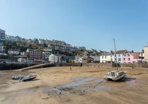 Ilfracombe Harbour is the jewel in Ilfracombe's crown and a hub of activity