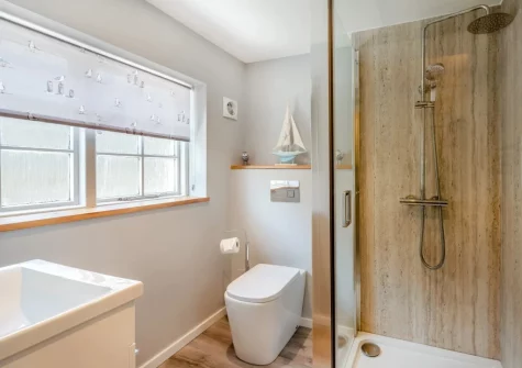 The shower room at Old Brewhouse 2, Appledore