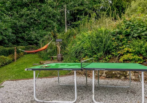 The garden at Old School House, Buck's Cross
