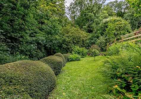 The garden at Old School House, Buck's Cross