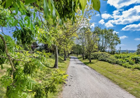 A private shared driveway gives access to Old Spot & the other four detached contemporary cabins