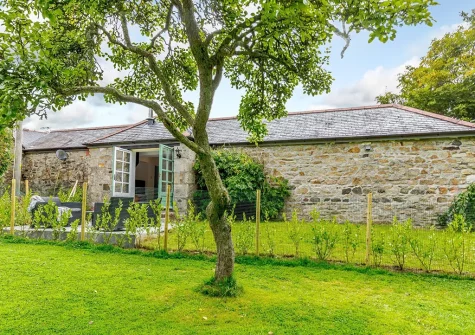The garden at Olive Cottage, Penryn