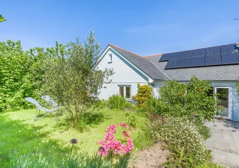The enclosed garden at Olive Tree, St Teath