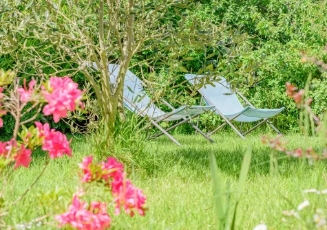 The enclosed garden at Olive Tree, St Teath