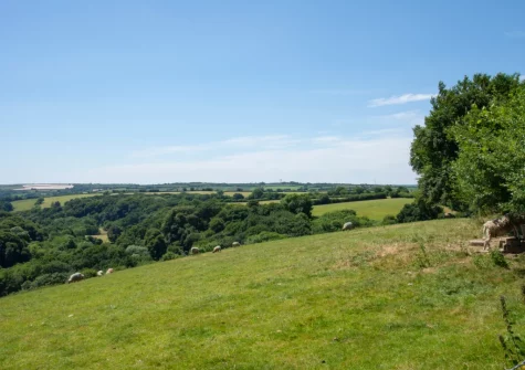 Enjoy far-reaching views across the Camel Valley to Bodmin Moor