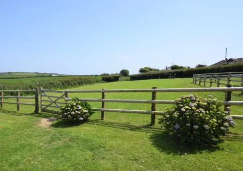 The shared dog exercising paddock at Owl Barn at The Retreat, Higher Clovelly