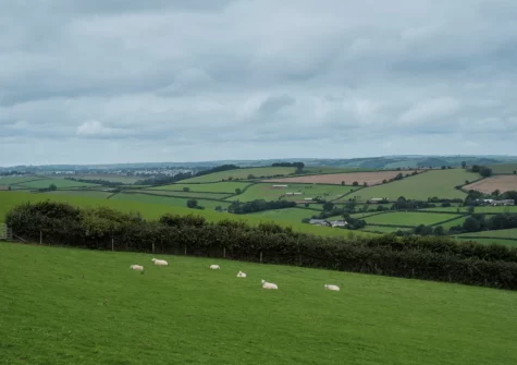 Owls Nest is a delightful barn conversion enjoys a peaceful rural location on the owner's farm