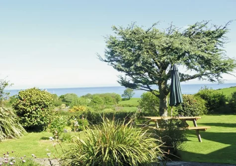 The pretty shared garden at Palm Leas, Ilfracombe