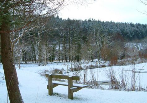 A crisp winters morning at Park Mill Farm