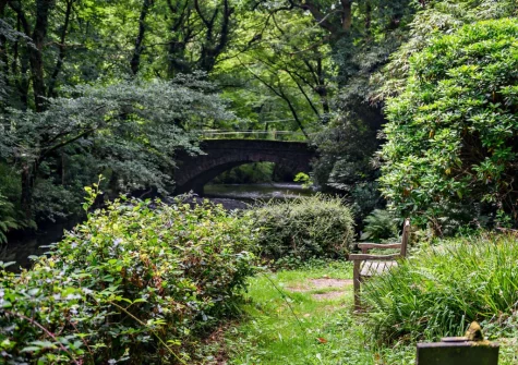 Explore 7.5 acres of on-site woodlands and freshwater swimming spots