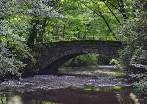 Guests are free to explore 7.5 acres of shared grounds that include tranquil woodlands