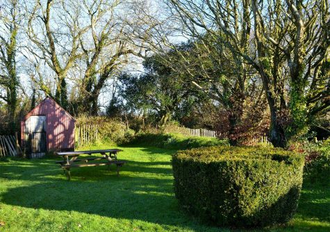 The garden at Parsley Cottage, Clawton