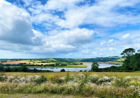 The spectacular views across the Tamar River from the living area at Peace Cottage, Riverview, Bere Alston