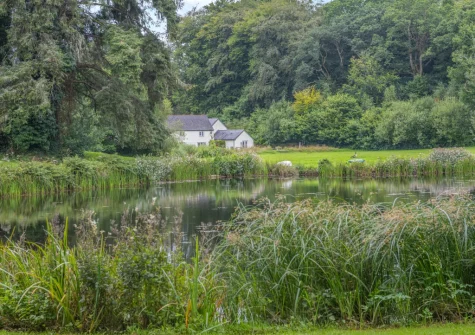 Explore 7.5 acres of on-site woodlands and freshwater swimming spots