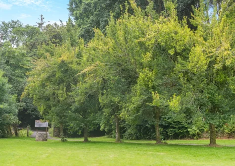Guests are free to explore 7.5 acres of shared grounds that include tranquil woodlands