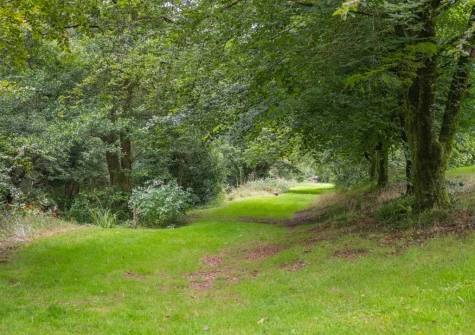 Guests are free to explore 7.5 acres of shared grounds that include tranquil woodlands