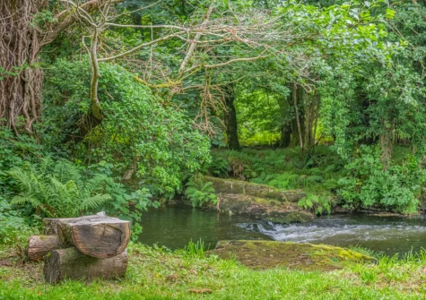 Explore 7.5 acres of on-site woodlands and freshwater swimming spots