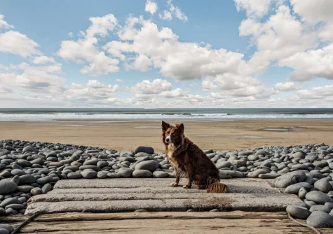 It's level walking distance to the golden sandy Westward Ho! Beach and all the amenities in this popular seaside village
