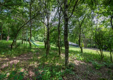 The pretty private woodland area with walks to explore at Penvith Farmhouse, Saint Martin-by-Looe