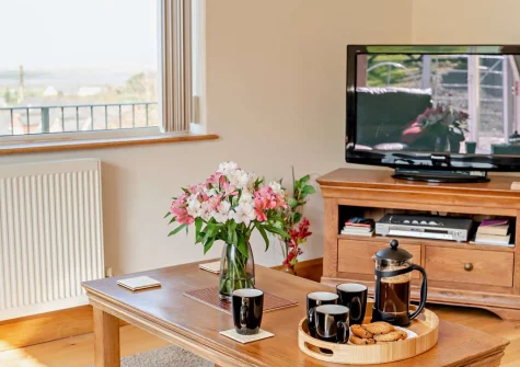 The living room at Pilot's View, Northam