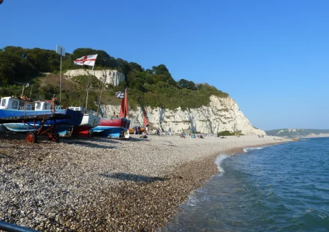 Beer is the 11th best seaside according to the Which? survey