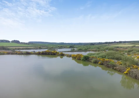 Plover Lodge 13 at Clovelly Lakes is set in a tranquil, picture-perfect landscape, complete with a dedicated circular woodland trail for peaceful dog walks
