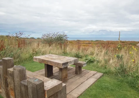 The garden at Polberro Cottage, St Agnes