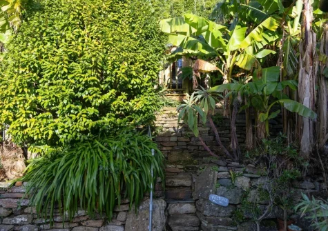 A rustic walkway of stone steps meanders up to Poldhu through lush tropical vegetation