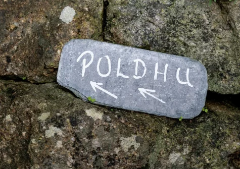 A rustic walkway of stone steps meanders up to Poldhu through lush tropical vegetation