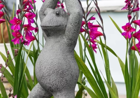 The garden at Pooh Corner, Praa Sands