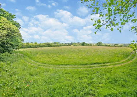 The large shared lawn at Primrose Cottage, Camelford