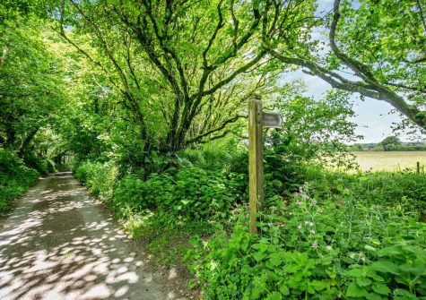 Enjoy the country and moorland walks directly from your door when you stay at Primrose Cottage, Camelford