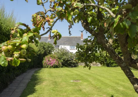 The beautifully manicured garden at Primrose Cottage, Treyarnon