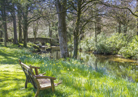 The vast expanse of woodland & river at Puggiestone House, Chagford