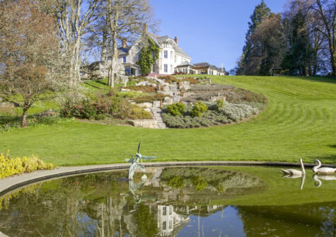 The pond & garden at Puggiestone House, Chagford