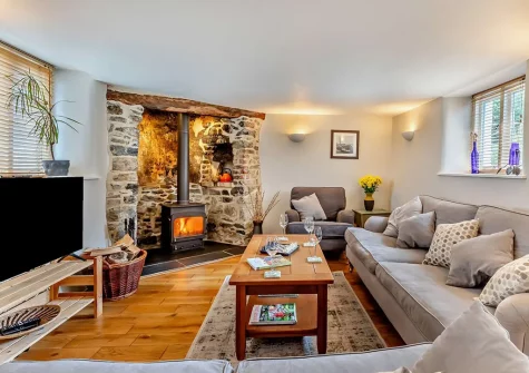The living area at Quintin Cottage, Landkey