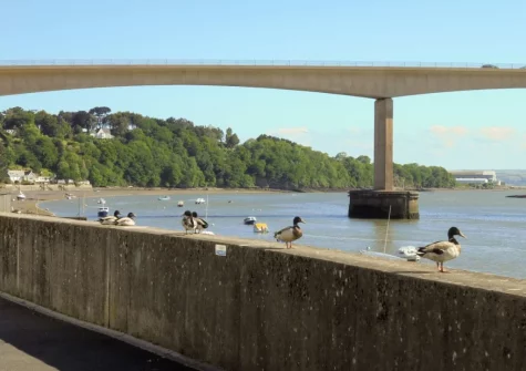 The view from the patio garden & alfresco dining area at Riverside Mews, Bideford