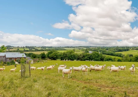 Image at Rogford Barn, Templeton