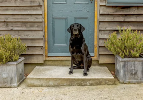 Rogford Barn has fabulous countryside views along with an enclosed garden, perfect for your four-legged friend