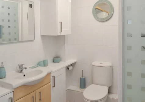 The shower room at Roland Cottage, Falmouth