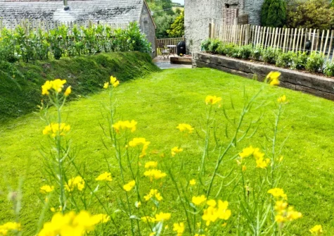 The lawned garden at Rolling Hills, Lee