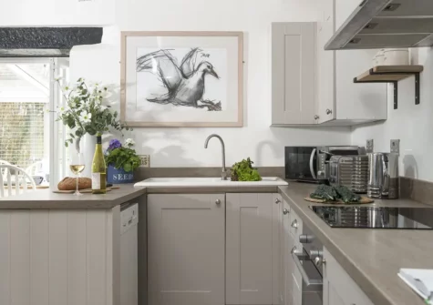 The kitchen at Rosehendra, Rosevidney