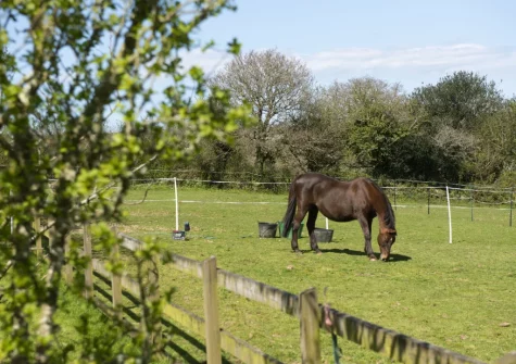 Enjoy the peace & tranquillity of the surrounding countryside when you stay at Roseland Cottage, Perranwell Station