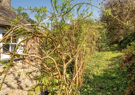 The garden at Ruth's Cottage, St Teath