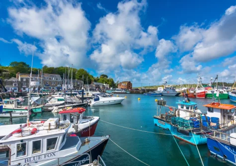 Sandpiper is a chic lower-ground-floor apartment at the centre of Padstow, perfect for experiencing everything the town has to offer