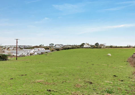 The views of horses grazing in the fields beyond the garden at Seaside Retreat, Crantock